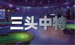 国地质查询拜访局局长、党组